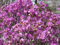 IMGP0886