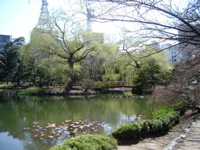 IMGP0887
