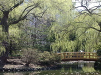 IMGP0888