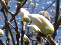 IMGP0890