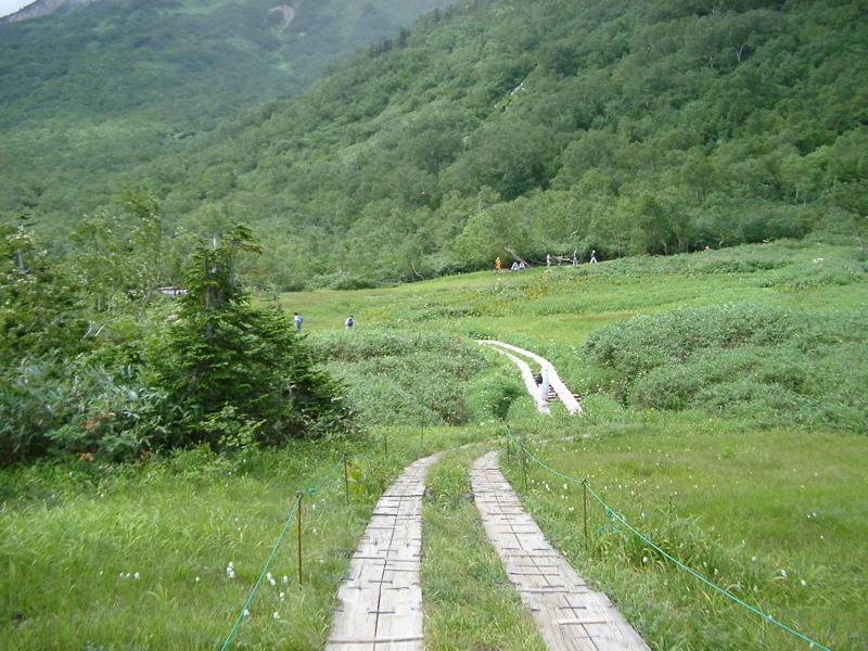IMGP1435