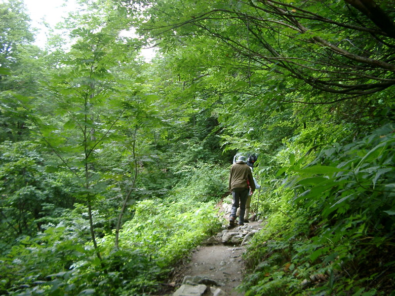 IMGP1457sarukura