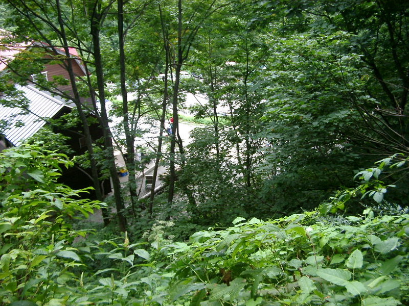 IMGP1458