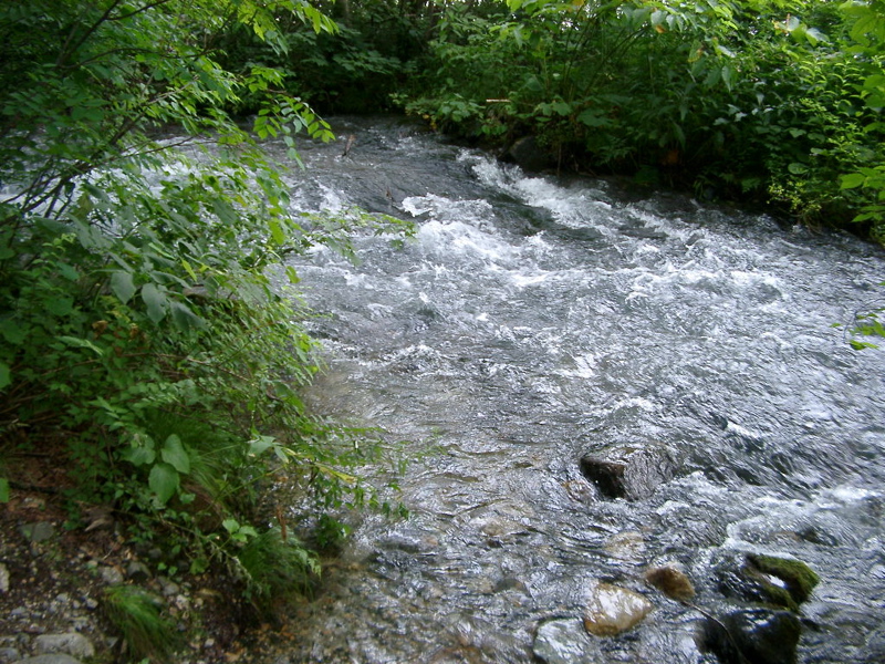 IMGP1462brook