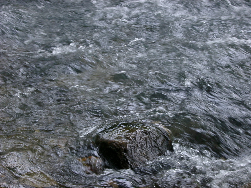 IMGP1464