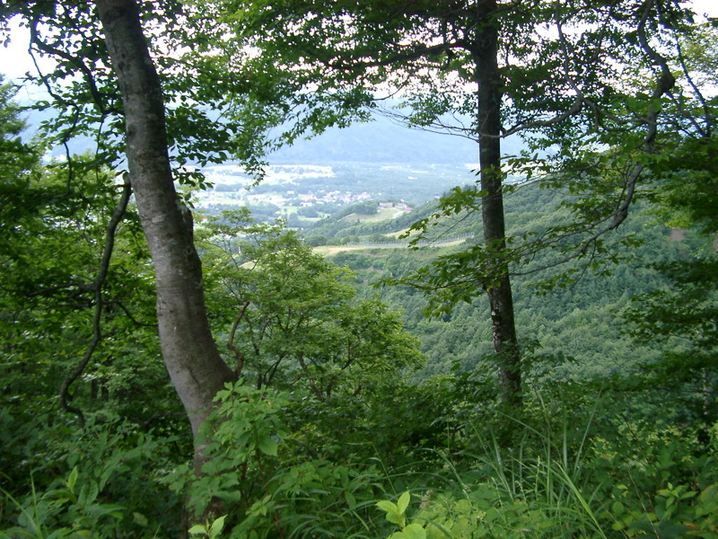 IMGP1485