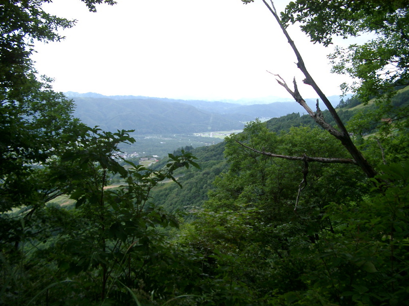 IMGP1486