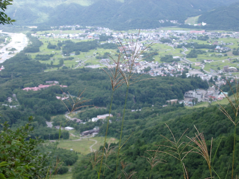 IMGP1488landscape