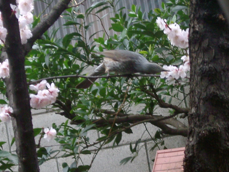 IMGP4005