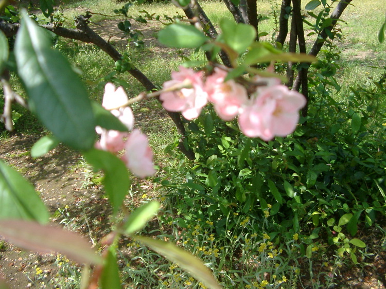 IMGP4127