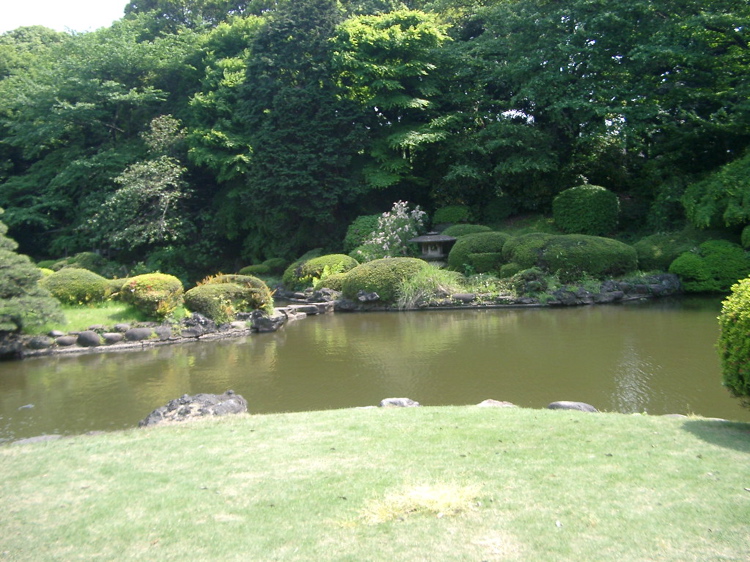 IMGP4128