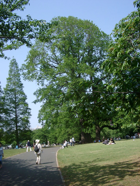 IMGP4136