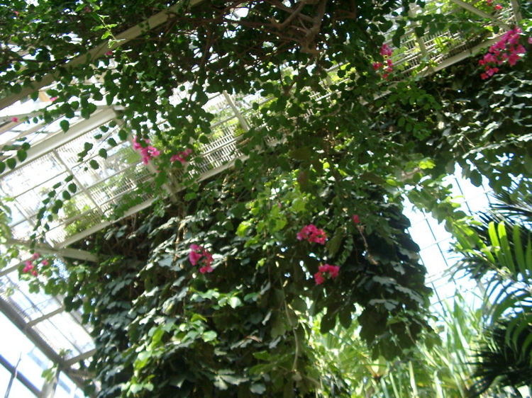 IMGP4165