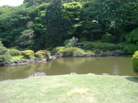 IMGP4128