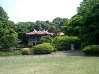IMGP4129