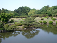 IMGP4130