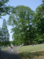 IMGP4136