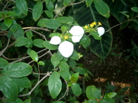 IMGP4144