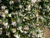 IMGP4150
