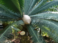 IMGP4157