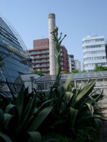 IMGP4167