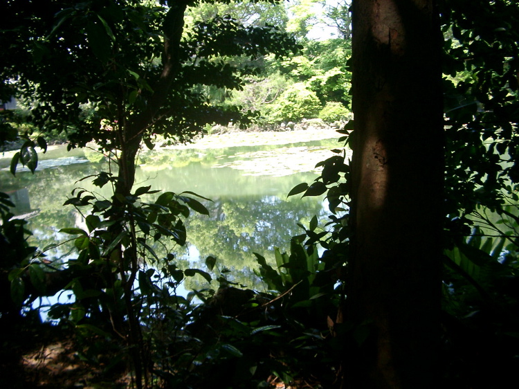 IMGP4501
