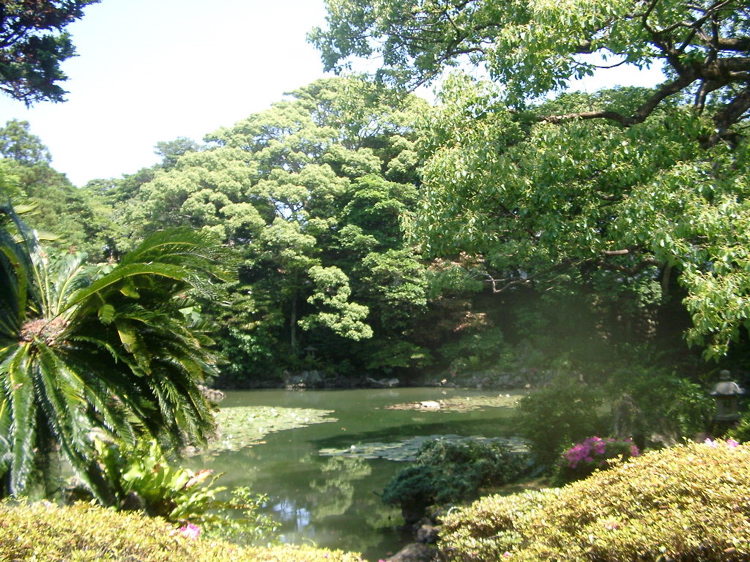 IMGP4511