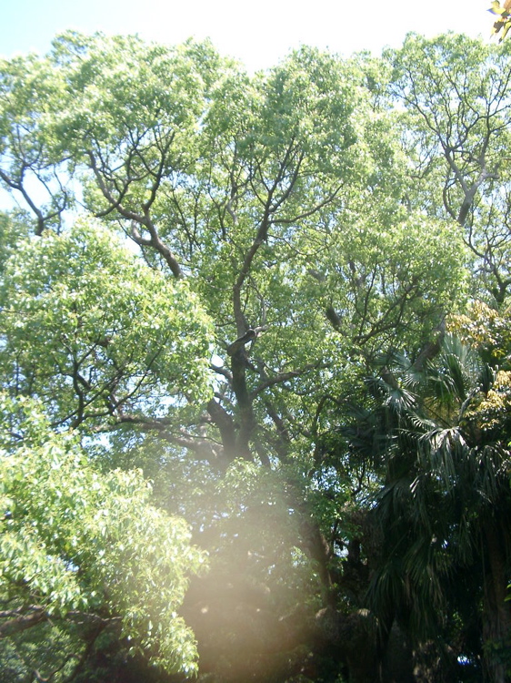 IMGP4514