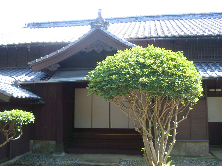 IMGP4538