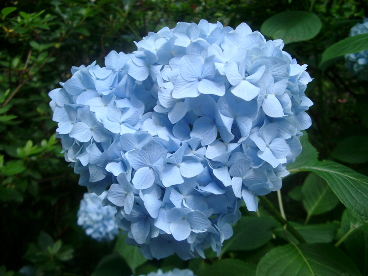 IMGP4752