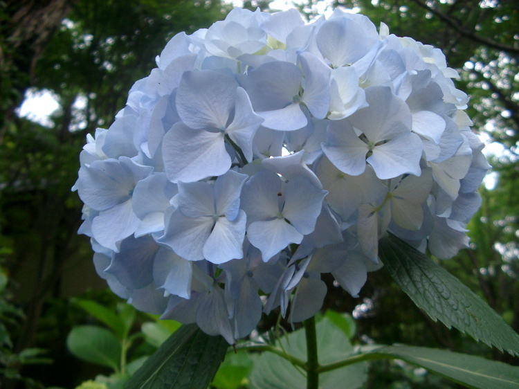 IMGP4756