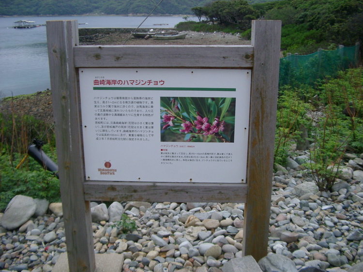 IMGP4440