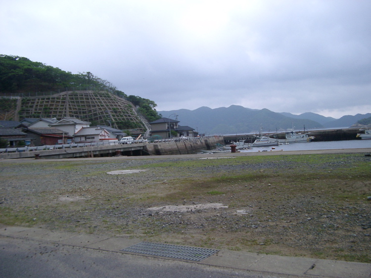 IMGP4442