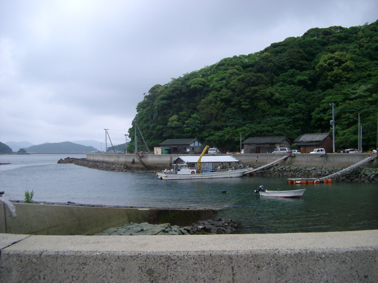 IMGP4443