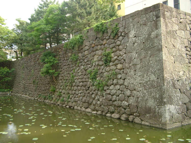 IMGP4451