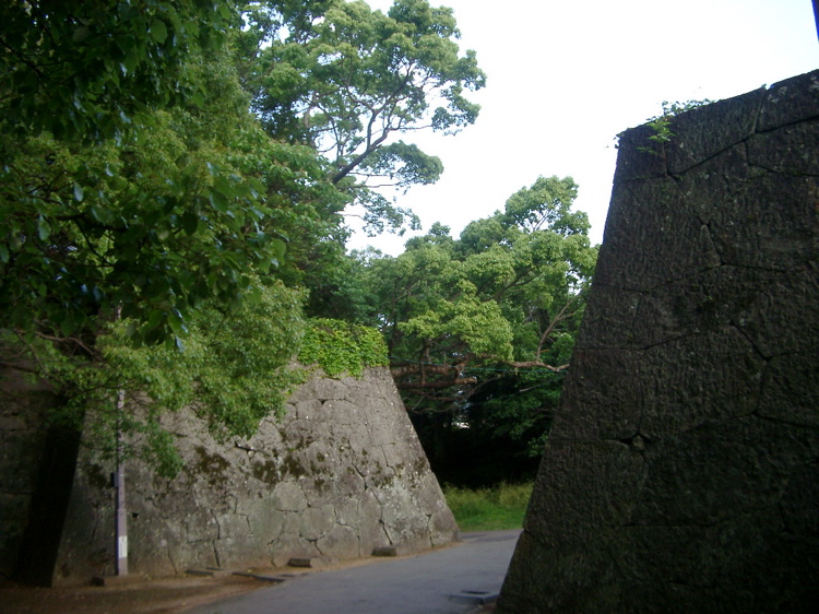 IMGP4457
