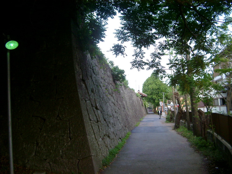 IMGP4458