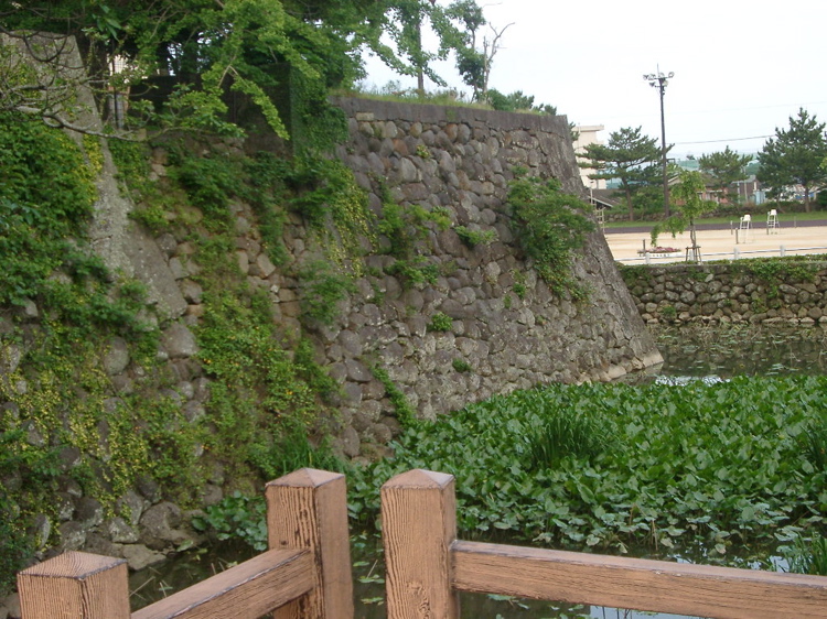 IMGP4462