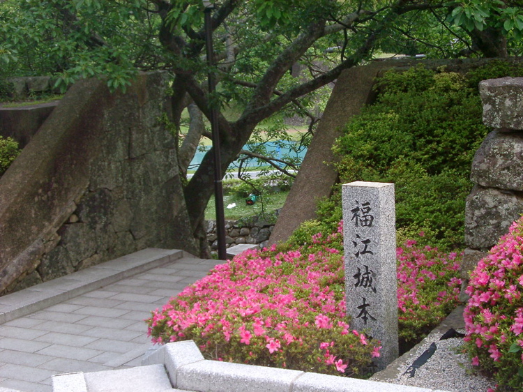 IMGP4463