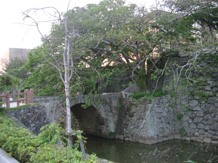 IMGP4467