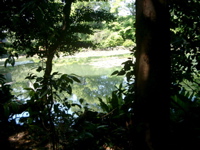 IMGP4501