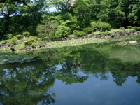 IMGP4506