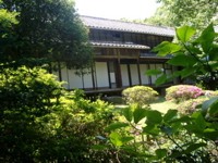 IMGP4508