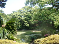 IMGP4511