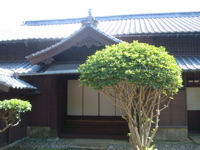 IMGP4538