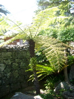 IMGP4540