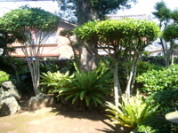 IMGP4541