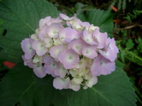 IMGP4755