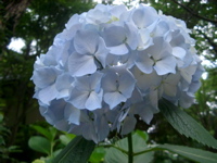 IMGP4756