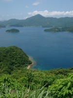 IMGP4791